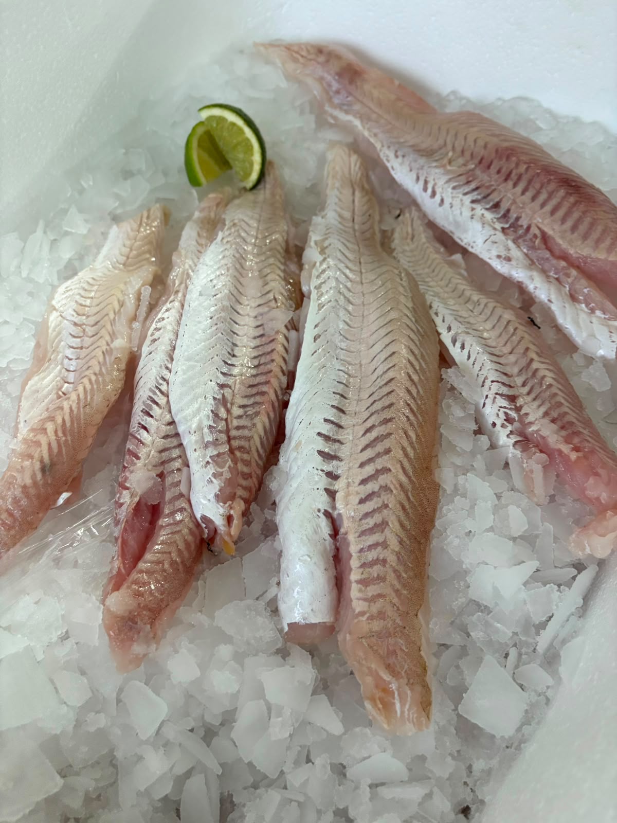 Filete de Merluza Fresco