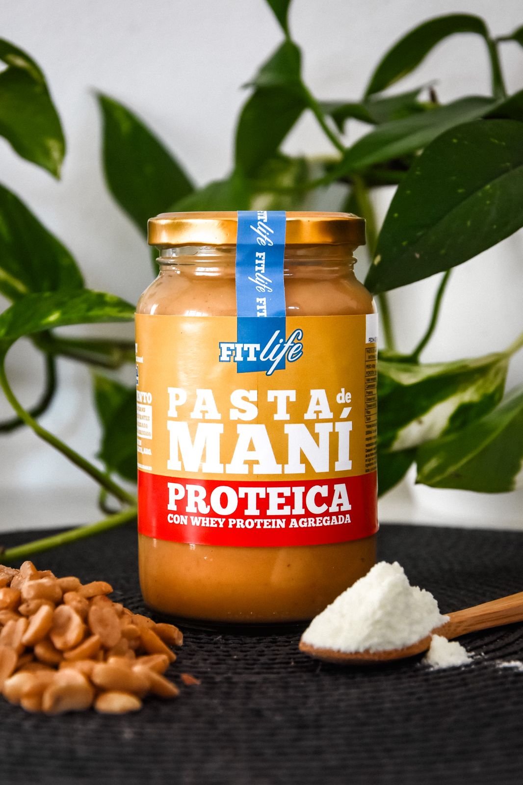 Pasta de Maní FitLife Proteica